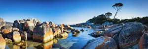 Lichen Prints: Bay of Fires, Binalong Bay, Tasmania