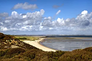 Landcape Prints: Beach at Braderup heathland, Braderup, Sylt Island, North Frisian Islands, Schleswig
