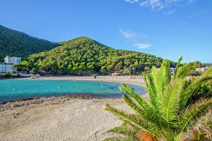 Esplanade Prints: Beach at Cala Llonga, Ibiza, Balearic Islands, Spain