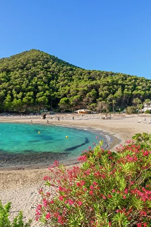 Surf Prints: Beach at Cala Llonga, Ibiza, Balearic Islands, Spain