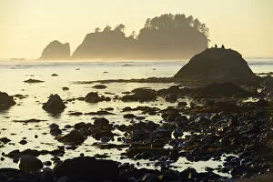 Images Dated 6th December 2012: Beach at Cape Alava, Olympic National Park, Clallam County, Washington, USA