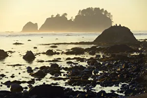 Beach at Cape Alava, Olympic National Park, Clallam County, Washington, USA