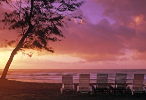 Kauai Prints: Beach chairs