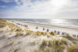 Beach Chair Prints: Beach chairs on the west beach of Kampen, Sylt, Schleswig-Holstein, Germany