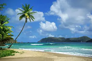 Trinidad Prints: Beach in Charlotteville, Tobago, Republic of Trinidad and Tobago