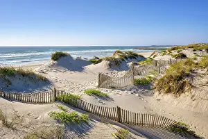 Litoral Prints: In the beach of Costa Nova, a system to retain the sand carried by the wind and to stop it to form a new sand dune
