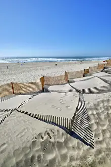 Ecology Prints: In the beach of Costa Nova, a system to retain the sand carried by the wind and to stop it to form a new sand dune