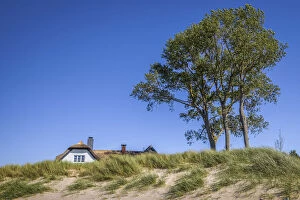 Ahrenshoop Gallery: Beach and dyke house in Ahrenshoop, Mecklenburg-Western Pomerania, Northern Germany