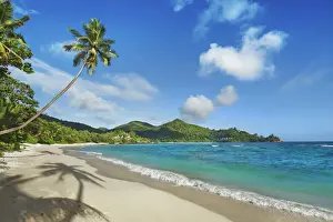 Petite Anse Prints: Beach impression with coconut palm an der Petite Anse - Seychelles, Mahe