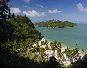 Ko Samui Gallery: Beach on Ko Wat Ta Lap