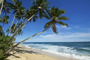Images Dated 8th May 2017: Beach, Mirissa, Sri Lanka