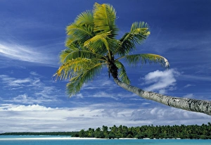 Cook Islands Gallery: Beach, North Aitutaki Island