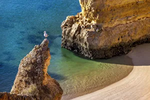 Praia Dona Ana Prints: Beach, Praia Dona Ana, Lagos, Algarve, Portugal