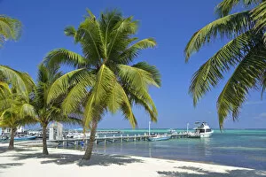 Pier Collection: A beach at San Pedro, Ambergris Caye, Caribbean, Central America