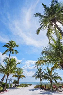 Images Dated 25th May 2021: Beach, Sanibel Island, Florida, USA