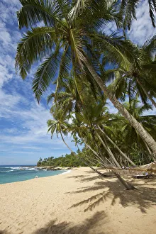 Beach, Tangalle, Sri Lanka