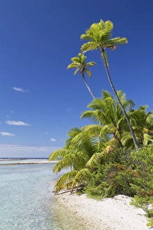 Beach at Tetamanu, Fakarava, Tuamotu Islands, French Polynesia