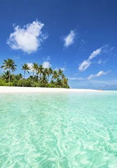 Beach on a tropical island, Baa Atoll, Maldives