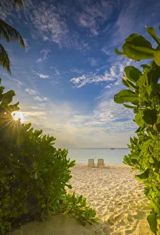 Images Dated 6th February 2017: Beach on a tropical island in the South Male Atoll, Maldives