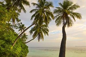 Images Dated 6th February 2017: Beach on a tropical island in the South Male Atoll, Maldives