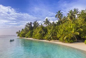 Images Dated 6th February 2017: Beach on a tropical island in the South Male Atoll, Maldives