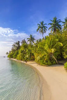 Images Dated 6th February 2017: Beach on a tropical island in the South Male Atoll, Maldives