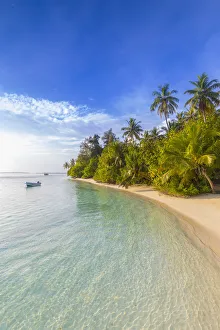 Images Dated 6th February 2017: Beach on a tropical island in the South Male Atoll, Maldives