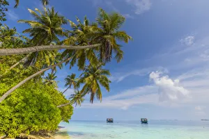 Images Dated 6th February 2017: Beach on a tropical island in the South Male Atoll, Maldives