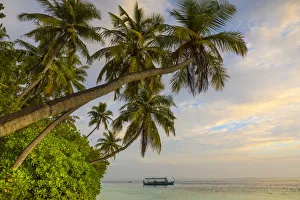 Images Dated 6th February 2017: Beach on a tropical island in the South Male Atoll, Maldives