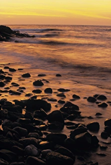 Sc Andinavian Gallery: Beach and waves