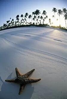 Beach, Zanzibar