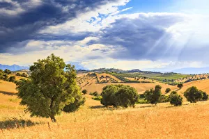 Corn Prints: A beam of sunlight filtered through the clouds above the cultivated fields above