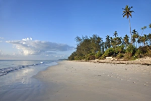 Msambweni Prints: The beautiful coconut palm-fringed Msambweni beach