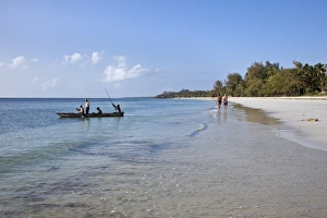 Beautiful coconut palm-fringed Msambweni beach, south of Mombasa, in the early morning
