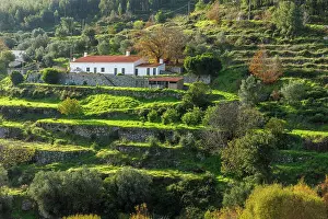 Slope Prints: Beautiful landscape of terraced slopes in Sierra da Monchique, Algarve, Portugal