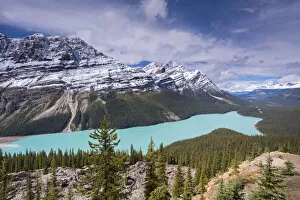 Images Dated 18th May 2016: Beautiful Peyto Lake in the Canadian Rockies, Banff National Park, Alberta, Canada