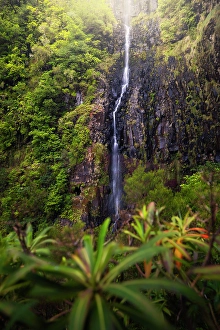Paul Da Serra Prints: The beautiful Risco waterfall during summer
