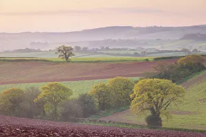Rolling Countryside Prints: Beautiful rolling countryside on a misty morning