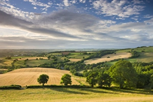 Beautiful sky above summer countryside, Raddon Hill, Crediton, Devon, England. Summer
