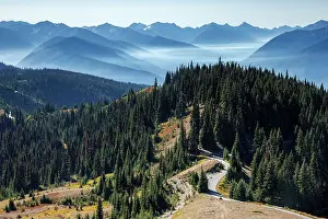 Olympic Prints: Beautiful view over a trail and mountain range at Hurricane Ridge
