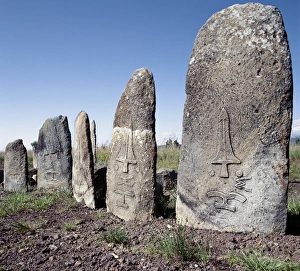 Images Dated 5th February 2009: Beautifully carved stelae represent the headstones