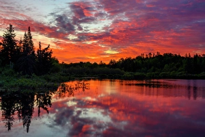 Natural Arch Prints: Beaver pond at dawn in spring, Greater Sudbury, Ontario, Canada