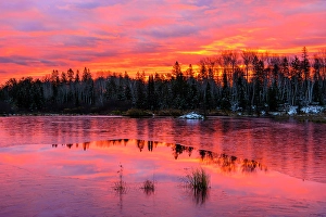 Fresh Water Prints: Beaver pond with early ice at dawn, Greater Sudbury, Ontario, Canada