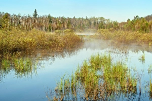 Misty Scene Prints: Beaver pond in early spring, Greater Sudbury, Ontario, Canada