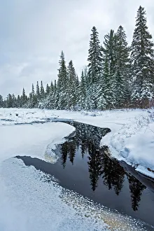 Algonquin Park Prints: Beaver Pond in winter, Algonquin Provincial Park, Ontario, Canada