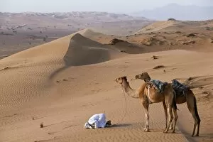 Camel Collection: A Bedu kneels to pray in the desert