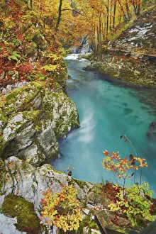 Brook Collection: Beech forest in autumn colours at mountain brook - Slovenia, Gorenjska, Bled