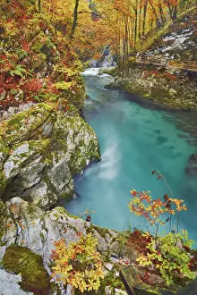 Erosion Landscape Prints: Beech forest in autumn colours at mountain brook - Slovenia, Gorenjska, Bled