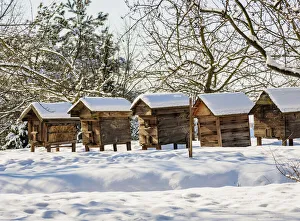 Lublin Voivodeship Prints: Beehives at Lublin Open Air Museum, winter, Lublin Voivodeship, Poland