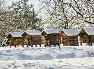Images Dated 15th June 2021: Beehives at Lublin Open Air Museum, winter, Lublin Voivodeship, Poland